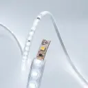 Gemini_Generated_Image_l7unfol7unfol7un.webp