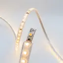 Gemini_Generated_Image_bt0tazbt0tazbt0t.webp